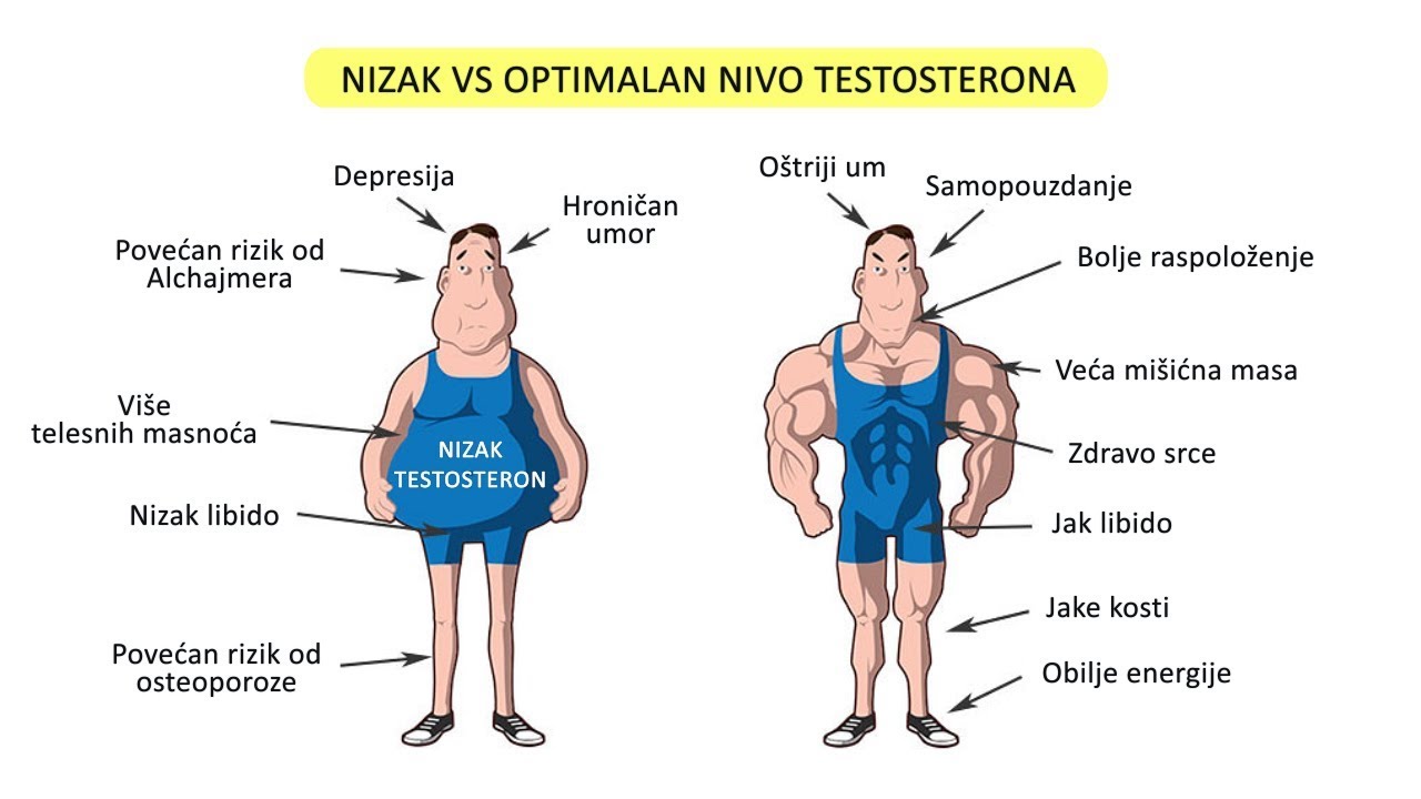 nizak vs optimalan nivo testosterona